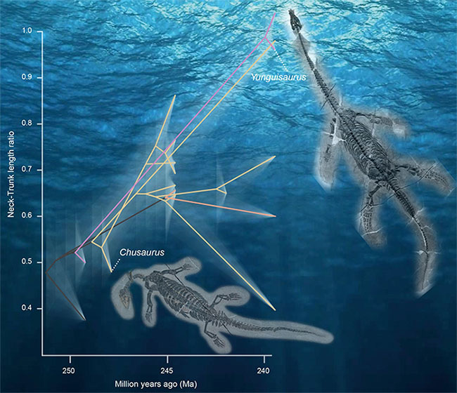 Phát hiện hóa thạch loài mới giúp hiểu rõ nguồn gốc thằn lằn cổ rắn
