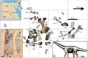 Khám phá hóa thạch quái vật khủng long Igan Semkhu ở Ai Cập