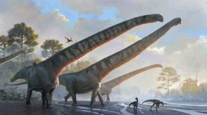 Khám phá Mamenchisaurus sinocanadorum: loài khủng long có cổ dài ấn tượng