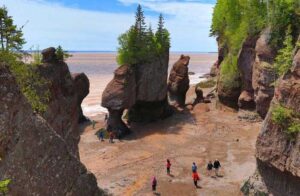 Du khách khám phá hóa thạch khủng long tại Vịnh Fundy