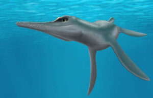 Phát hiện quái vật biển cổ đại Unktaheela specta