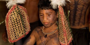 Nghi lễ trưởng thành đau đớn của bộ tộc Satere Mawe