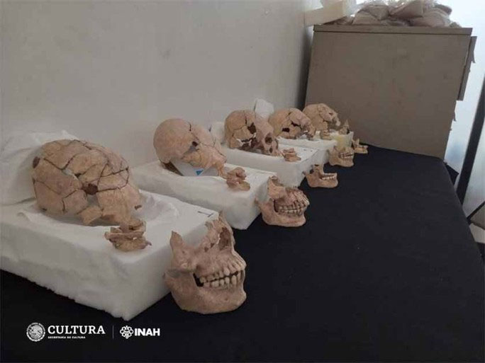 Hộp sọ Maya tại Moral-Reforma và bí mật hiến tế lịch sử