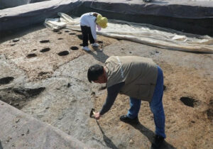 Phát hiện làng mộ cổ thời nhà Thương tại Trịnh Châu