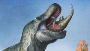 Khám phá mới về nụ cười ma quái của T-rex