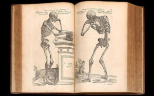Công trình giải phẫu cơ thể người của Andreas Vesalius