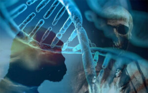 Phát hiện DNA của loài người ma trong cộng đồng Tây Phi