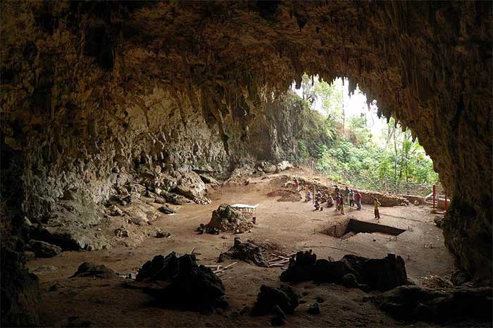 Phát hiện về "Hobbit" Homo floresiensis tại đảo Flores