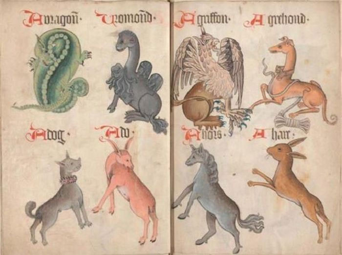 Chó săn và đẳng cấp quý tộc thời Trung Cổ
