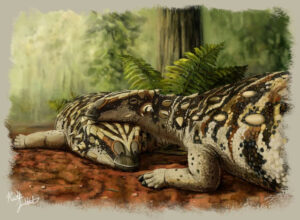 Phát hiện loài Ankylosauria mới Datai yingliangis