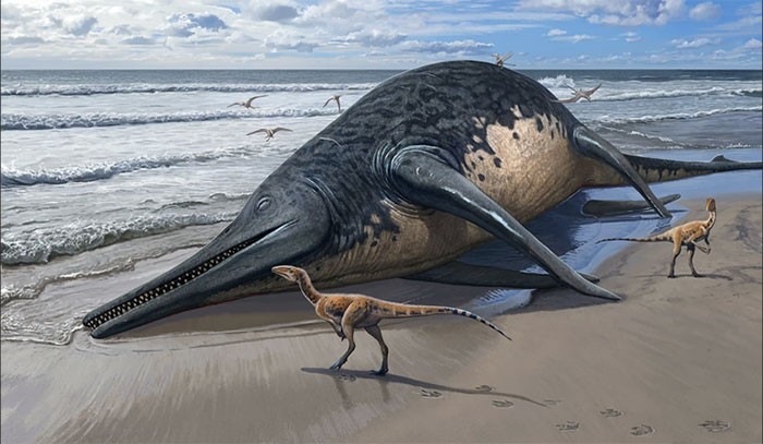 Bé gái 11 tuổi phát hiện hóa thạch thằn lằn cá khổng lồ