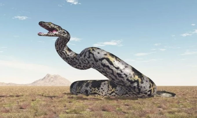 Phát hiện hóa thạch rắn cổ đại Vasuki Indicus dài hơn 15 mét