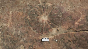 Khám phá nghệ thuật cạnh dấu chân khủng long hóa thạch ở Brazil