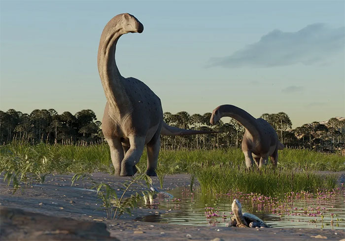 Phát hiện khủng long mới Titanomachya gimenezi tại Argentina