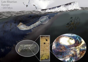 Phát hiện hài cốt ngư long khổng lồ tại Vách đá Aust
