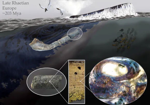Phát hiện hài cốt ngư long khổng lồ tại Vách đá Aust