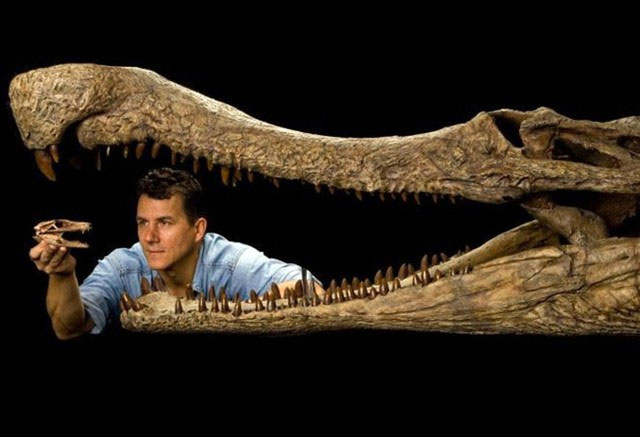 Khám phá cá sấu cổ đại SuperCroc ở Sahara