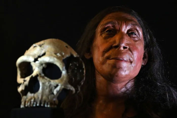 Khuôn mặt tái tạo của phụ nữ Neanderthal Shanidar Z