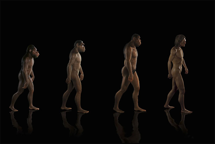 Những bí ẩn di truyền và sự tiến hóa của con người