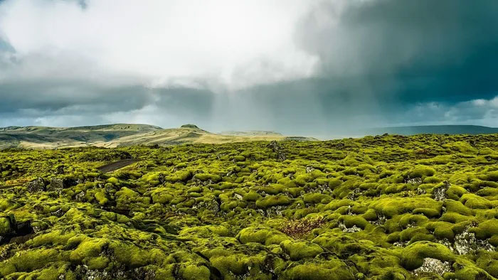 Iceland: cánh đồng dung nham Eldhraun kỳ vĩ