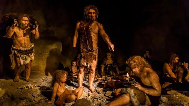 Phân tích xương tai Neanderthals tại Cova Negra cho thấy mắc hội chứng Down